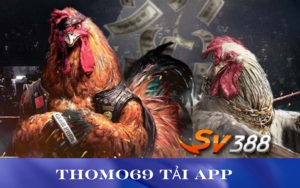 Trang chủ nhà cái đá gà BJ38 | BJ72 | BJ27 | BJ99 | BJ388 | BJ888