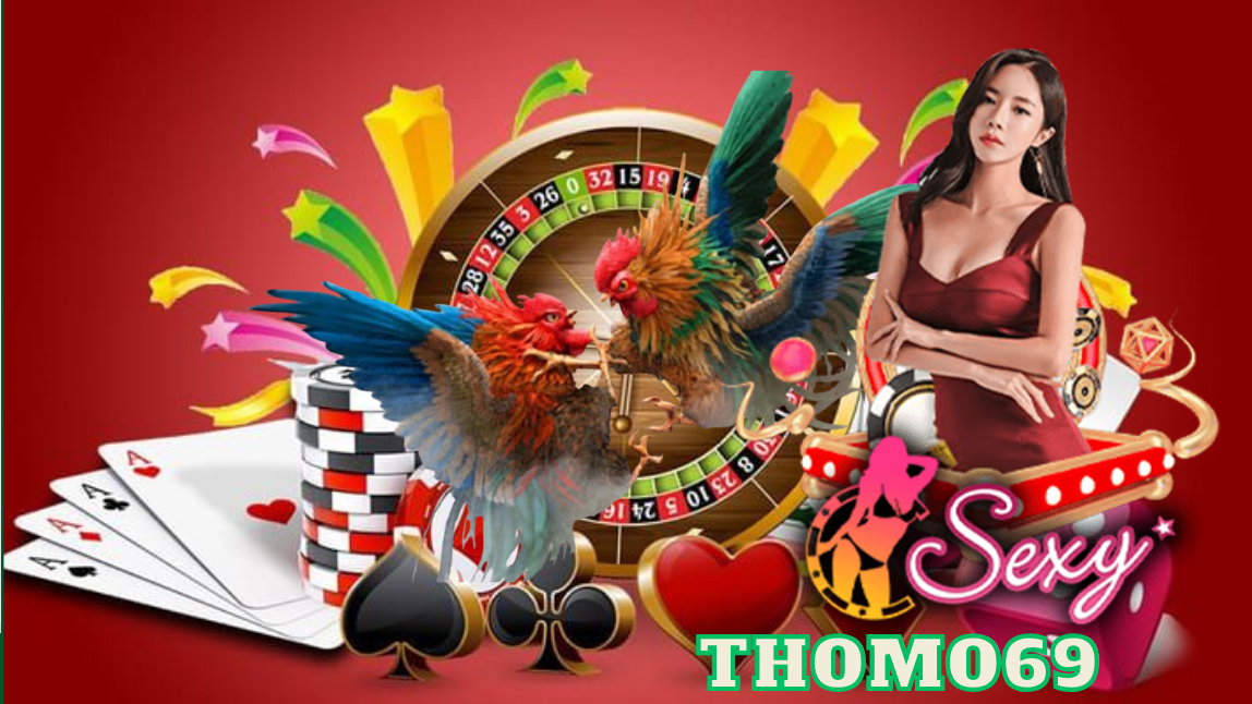Kênh Đá Gà Trực Tiếp Top 1 Việt Nam - Thomo69: Khám Phá Đam Mê Đá Gà