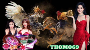 Hướng Dẫn Truy Cập Kênh Đá Gà Thomo69