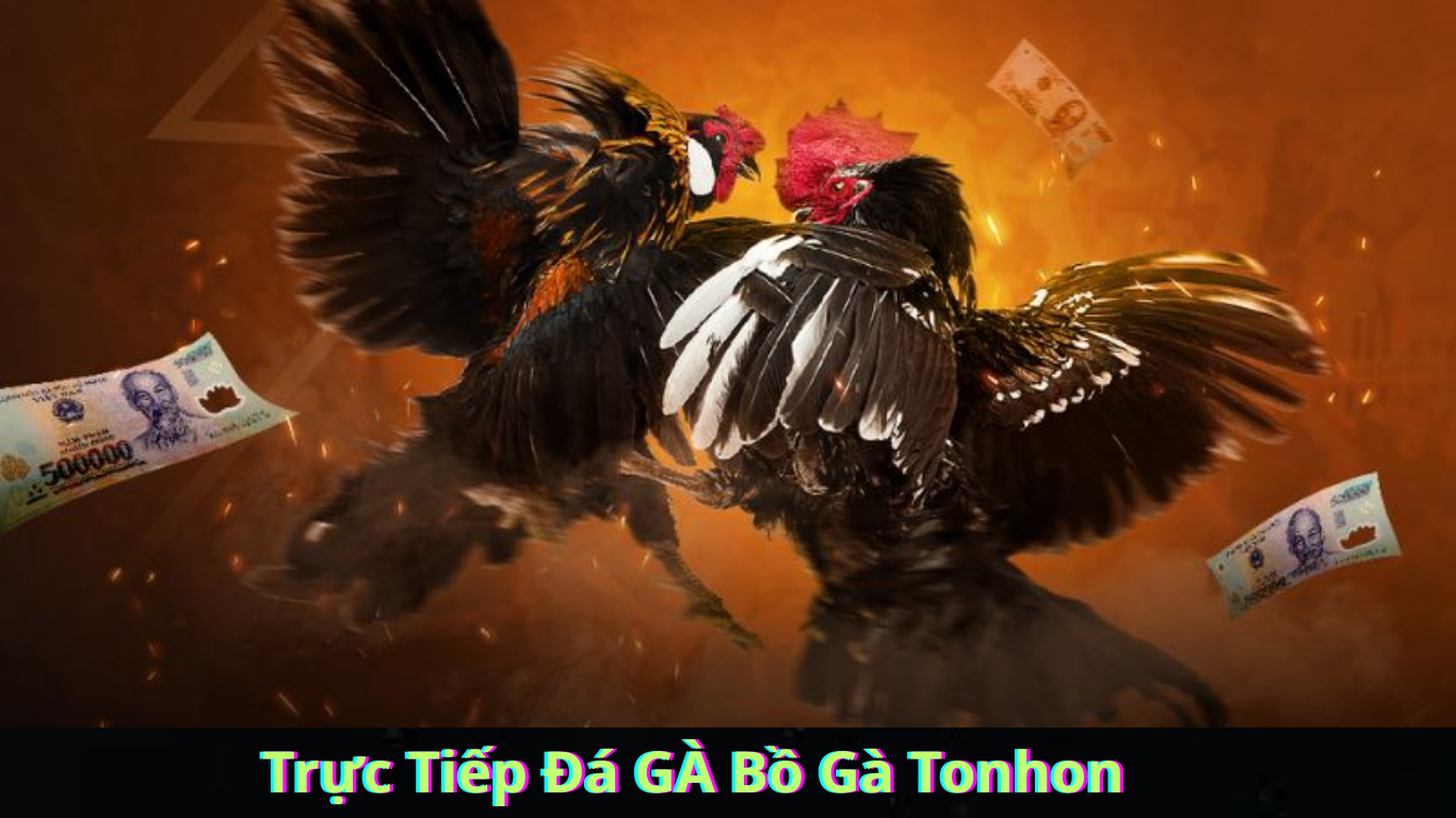 Kinh Nghiệm Tham Gia Đá Gà Trực Tuyến bj3888